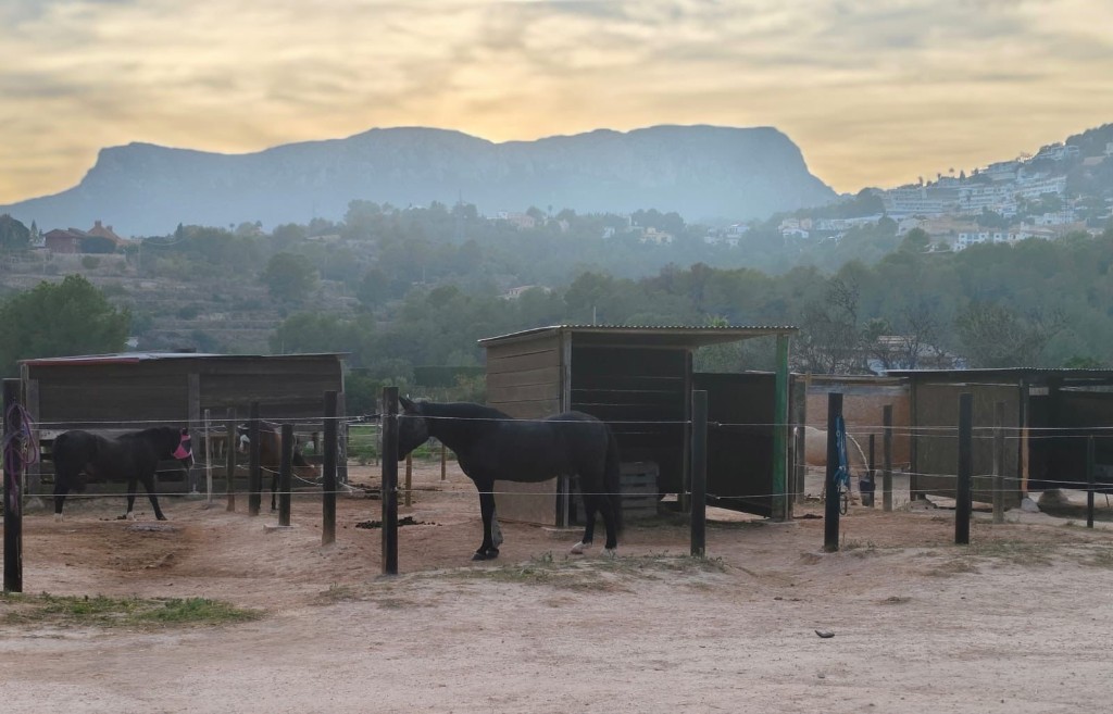 Horse housing