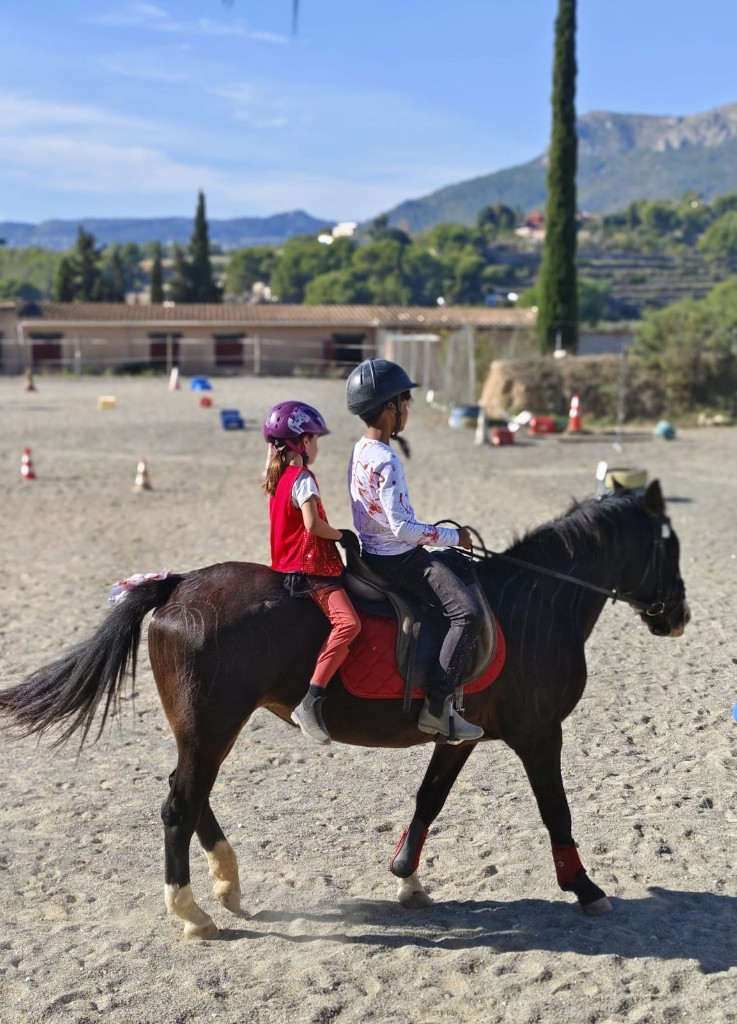 Riding arena