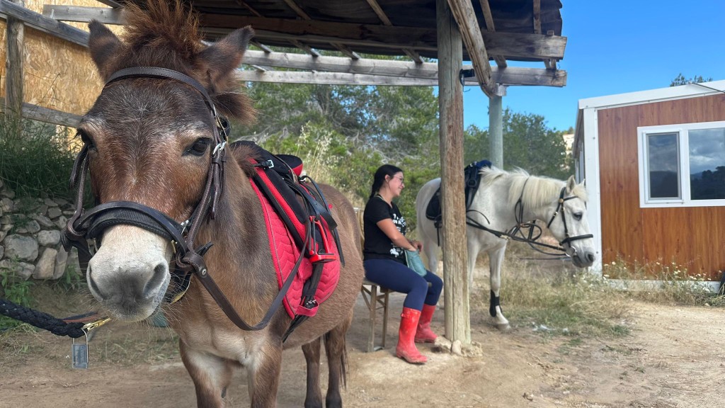 Tack, groom and go space