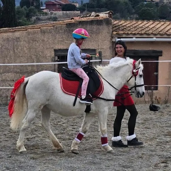 Christmas at the farm with horses