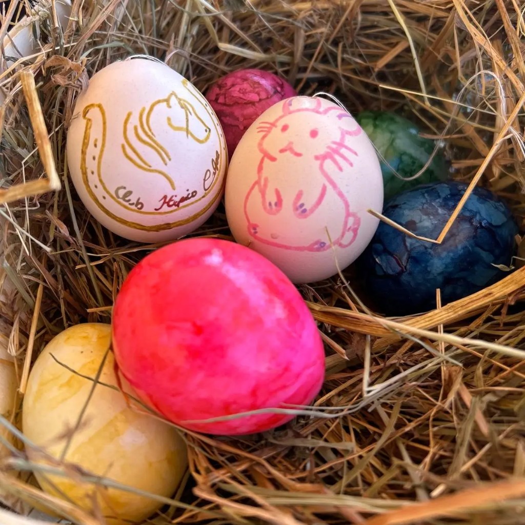 Easter eggs at the farm