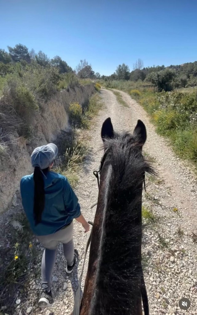 Guided hack through the countryside around Solutions Farm